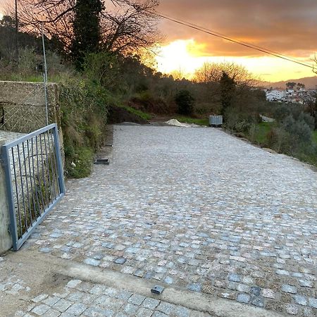 Casa Da Zefinha, Em Cinfaes, No Douro Appartement Buitenkant foto